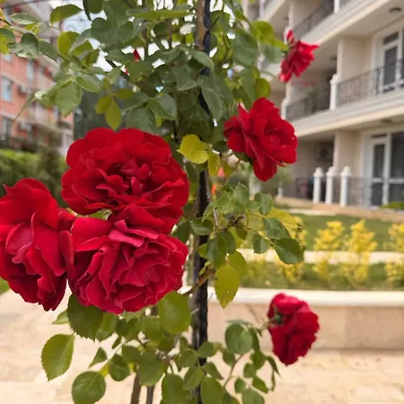 Апартаменти Magnolia Coast *